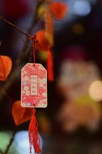 giấy phép Nohu